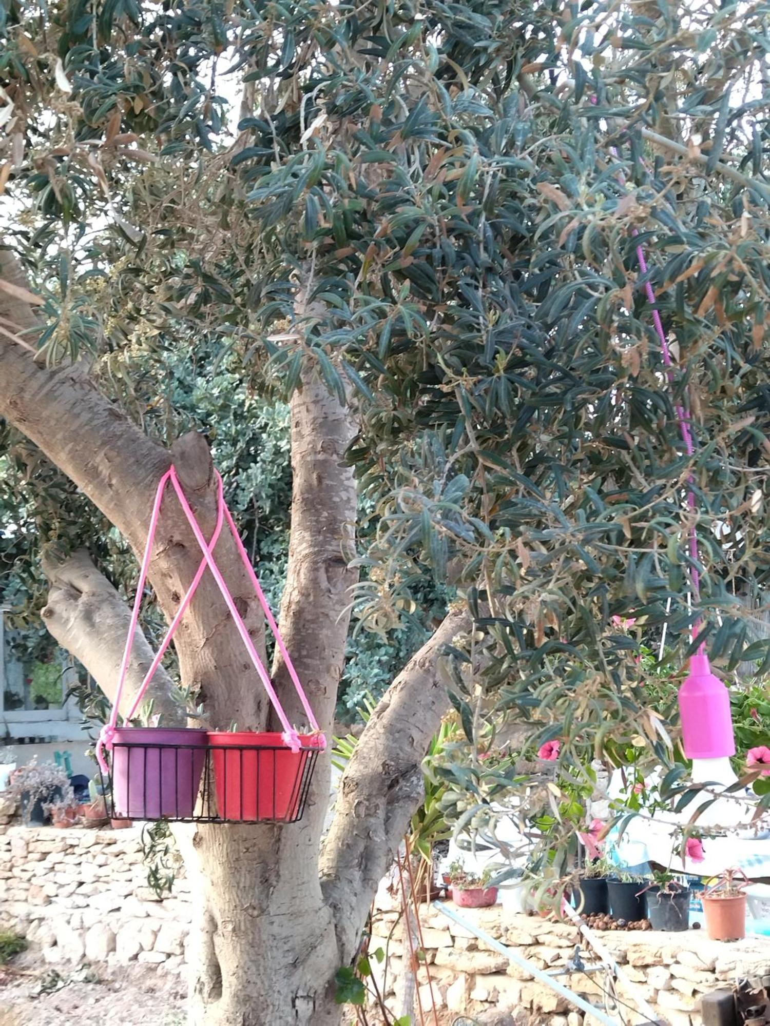 Cala Creta Lägenhet LMP Rum bild