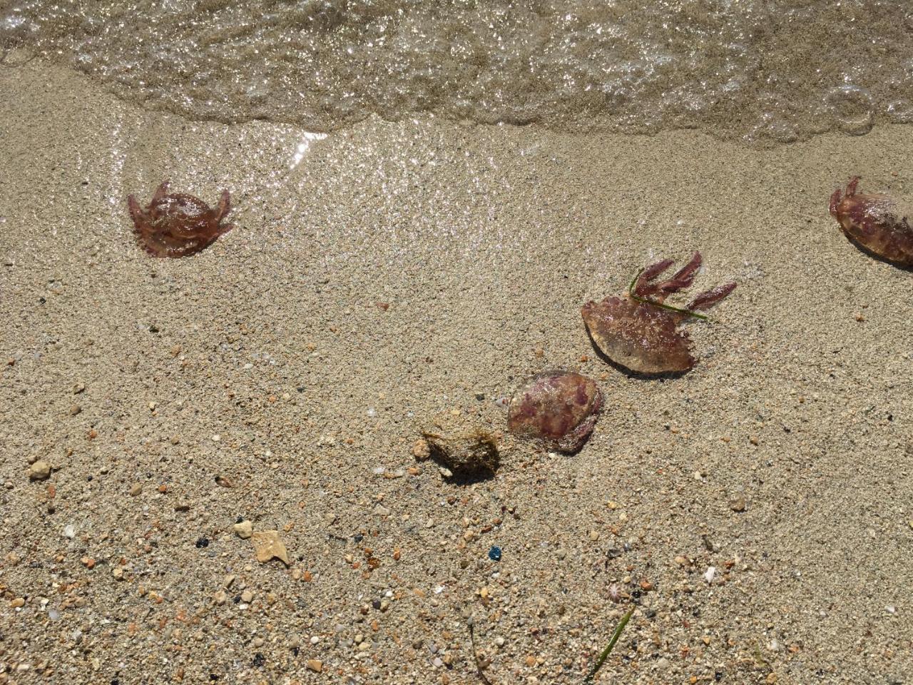 Cala Creta Lägenhet LMP Exteriör bild
